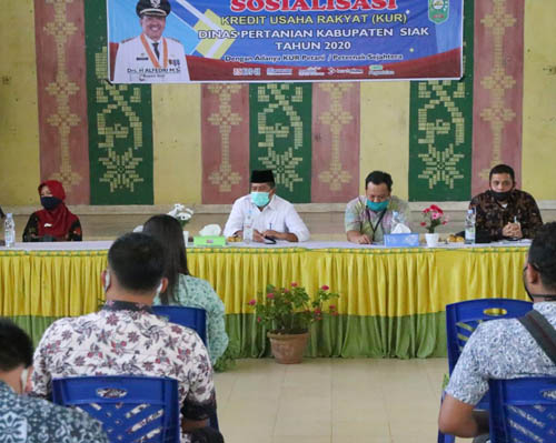 Salurkan KUR, Bupati Siak Apresiasi Kerjasama Pemkab dengan Himbara